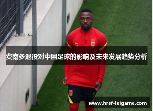 费南多退役对中国足球的影响及未来发展趋势分析