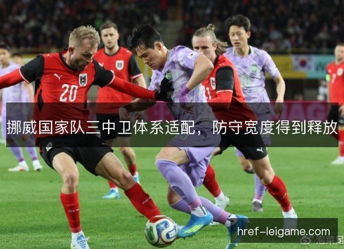 挪威国家队三中卫体系适配,防守宽度得到释放 挪威国家队三中卫体系适配,防守宽度得到释放
